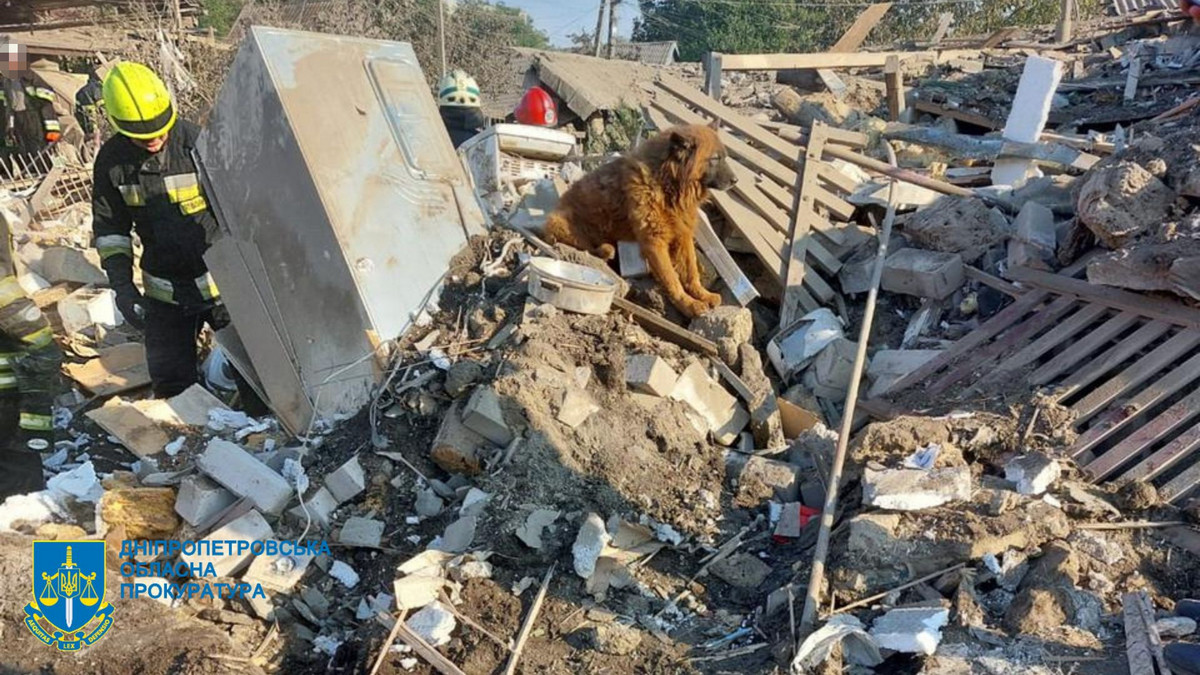 A dog found in the ruins of a bombed-out house in Dnipro has died