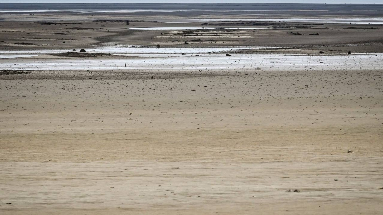 The Kakhovsky Reservoir near Nikopol dries up. Inhabitants: this river fed us