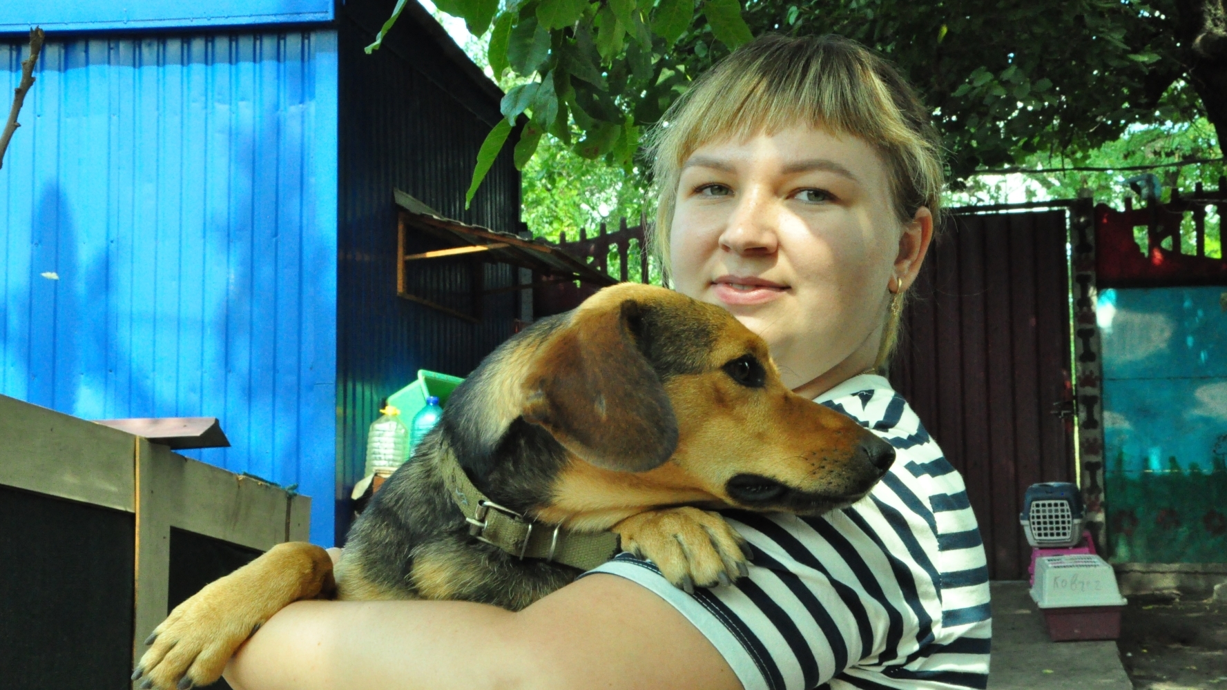There are about 300 animals in the shelter: volunteers from Dnipro evacuate dogs and cats from the front