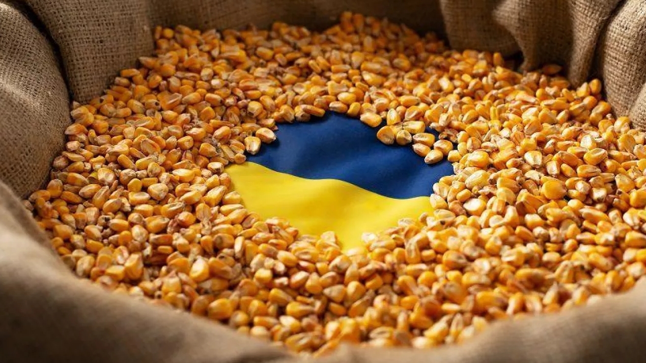 The Ministry of Foreign Affairs gave five reasons why the EU should lift the ban on imports of Ukrainian grain