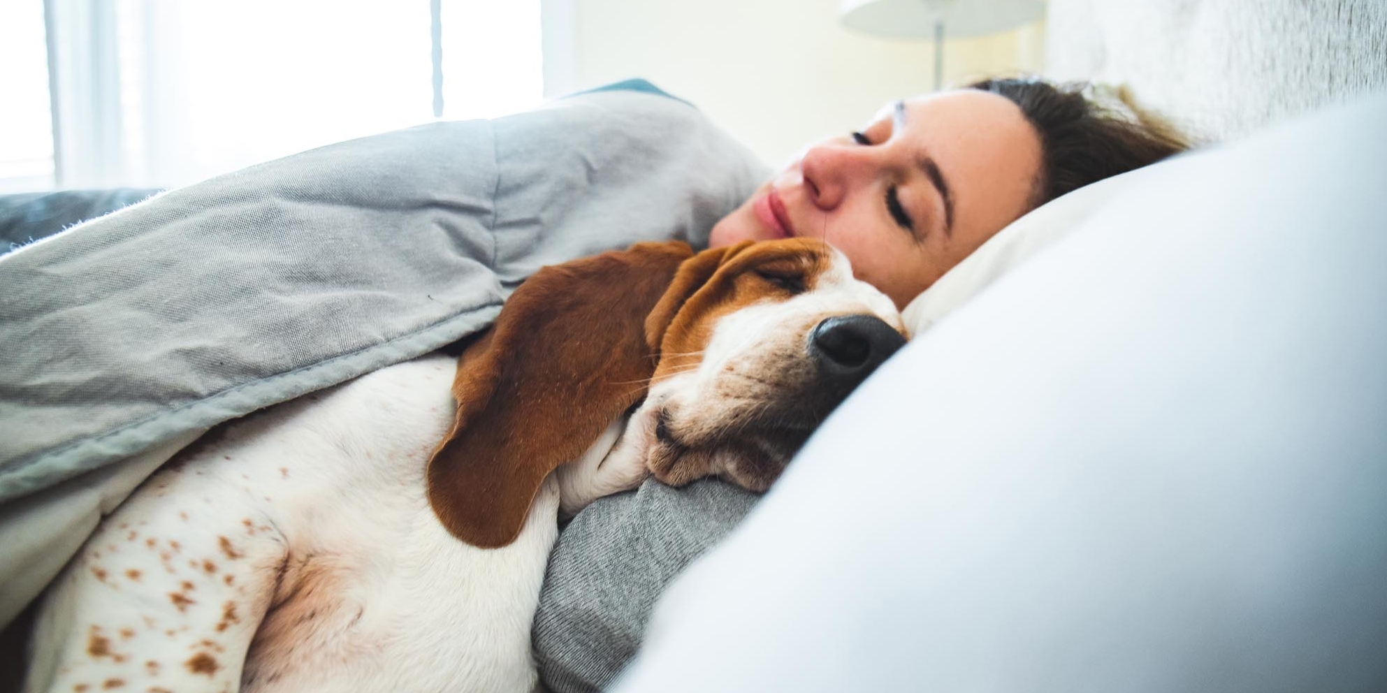 На що звертає увагу собака, вибираючи людину для сну? Ось деякі правила