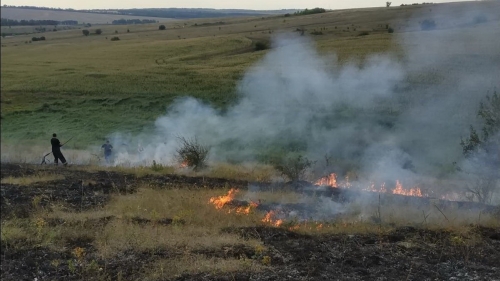 Скільки пожеж вже сталося на Дніпровщині з початку року?