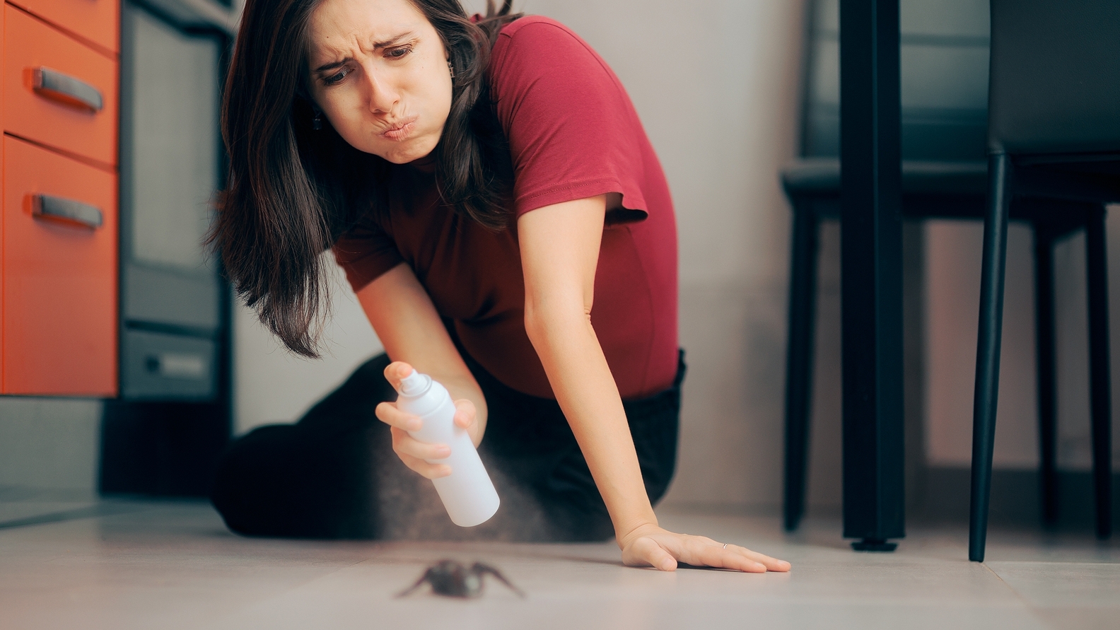 Як позбутися від павуків з дому? Ось ефективний препарат