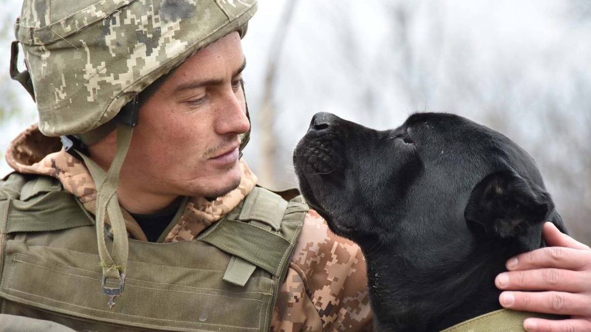 У світі та Україні відзначають день собаки