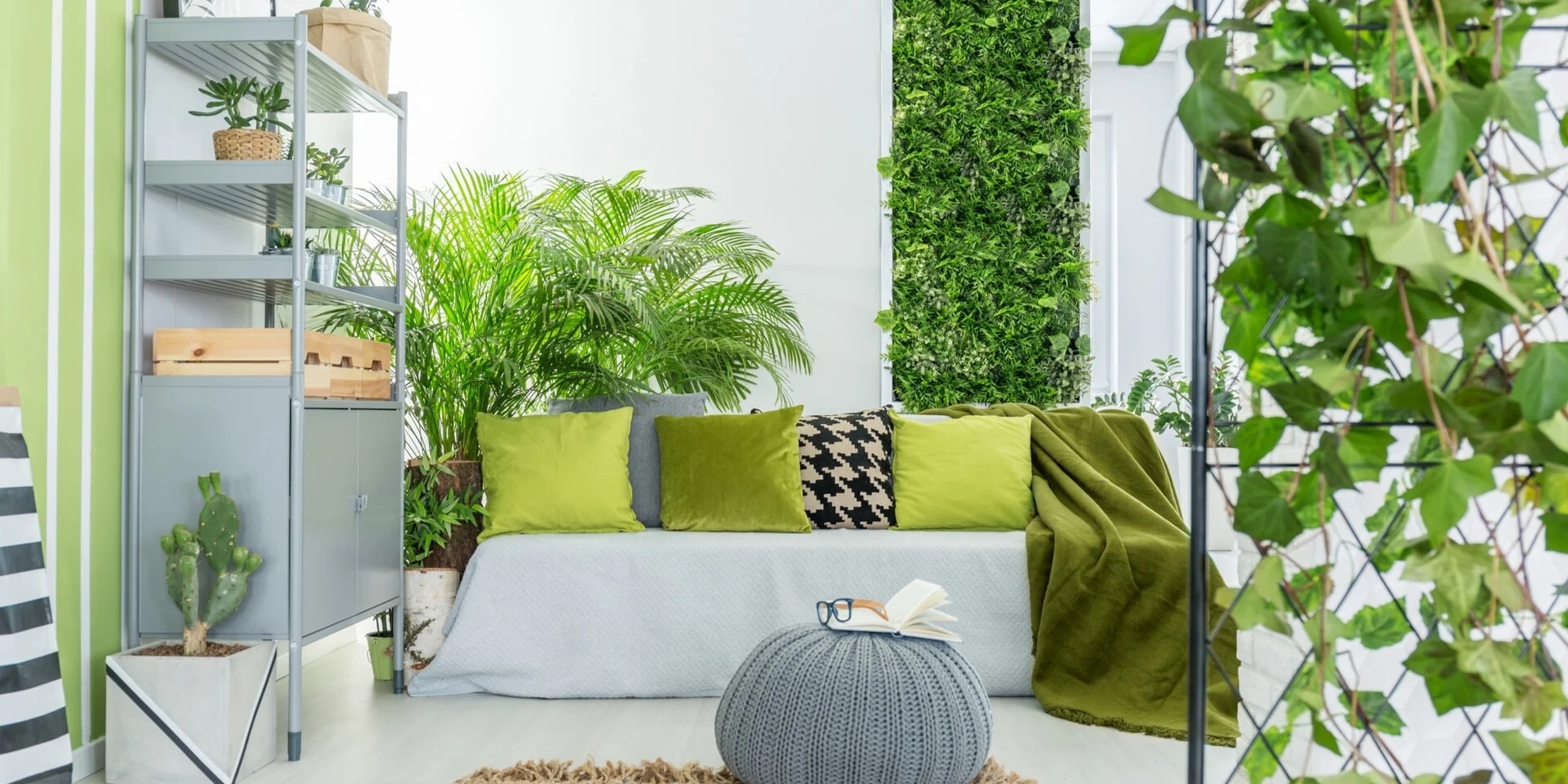 Чому ми так хочемо, щоб рослини були в наших будинках?
