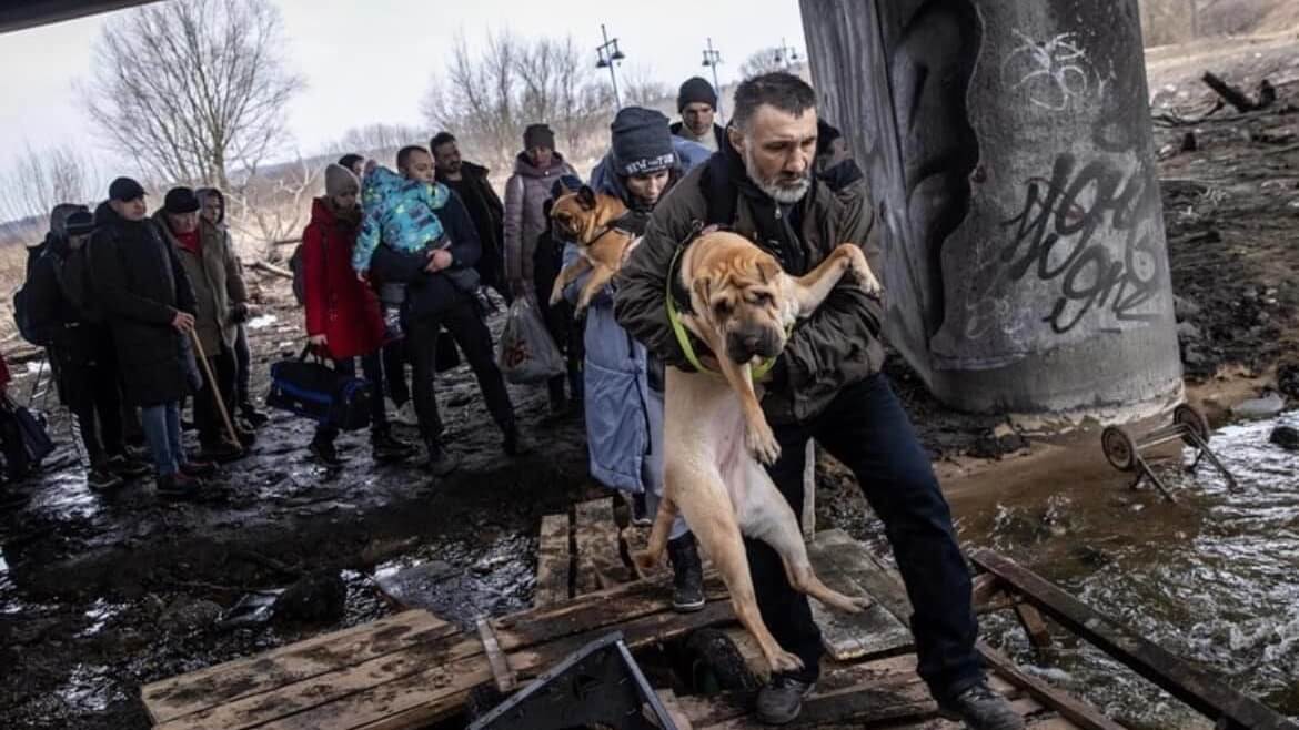 У Варшаві відбудеться Марш порятунку тварин від війни в Україні