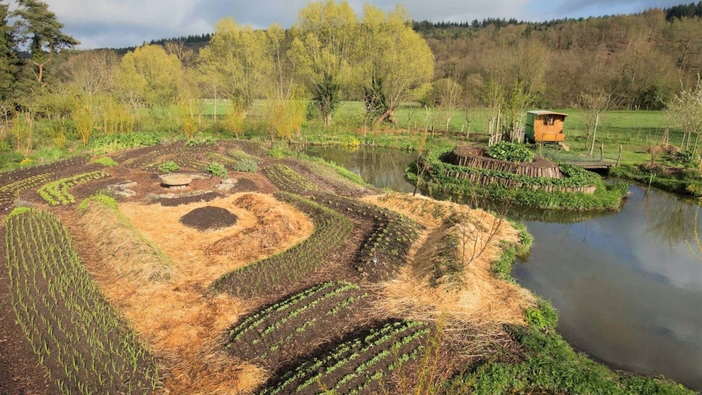 Як харківянин реанімує виснажені землі України? Зелені методи відновлення ґрунту