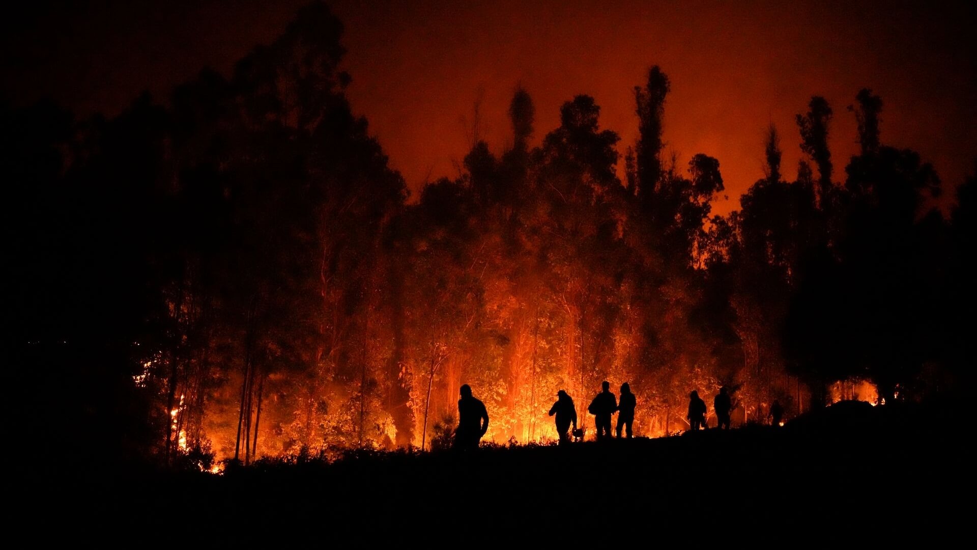 Пожежі у Чилі