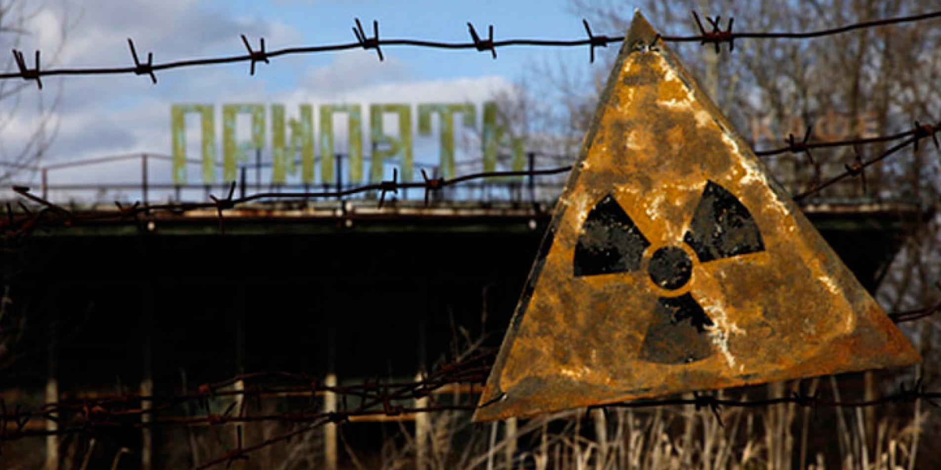 Чорнобиль: дивні гриби поглинають радіацію від реактора. Вчені хочуть цим скористатися