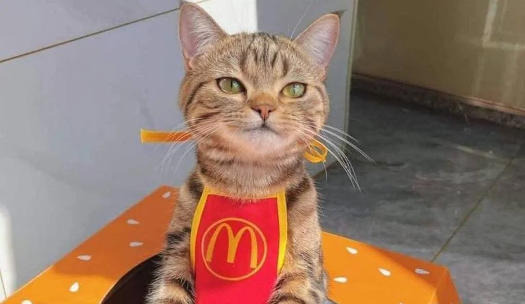 Зявилася інформація про дату відкриття McDonalds у Дніпрі