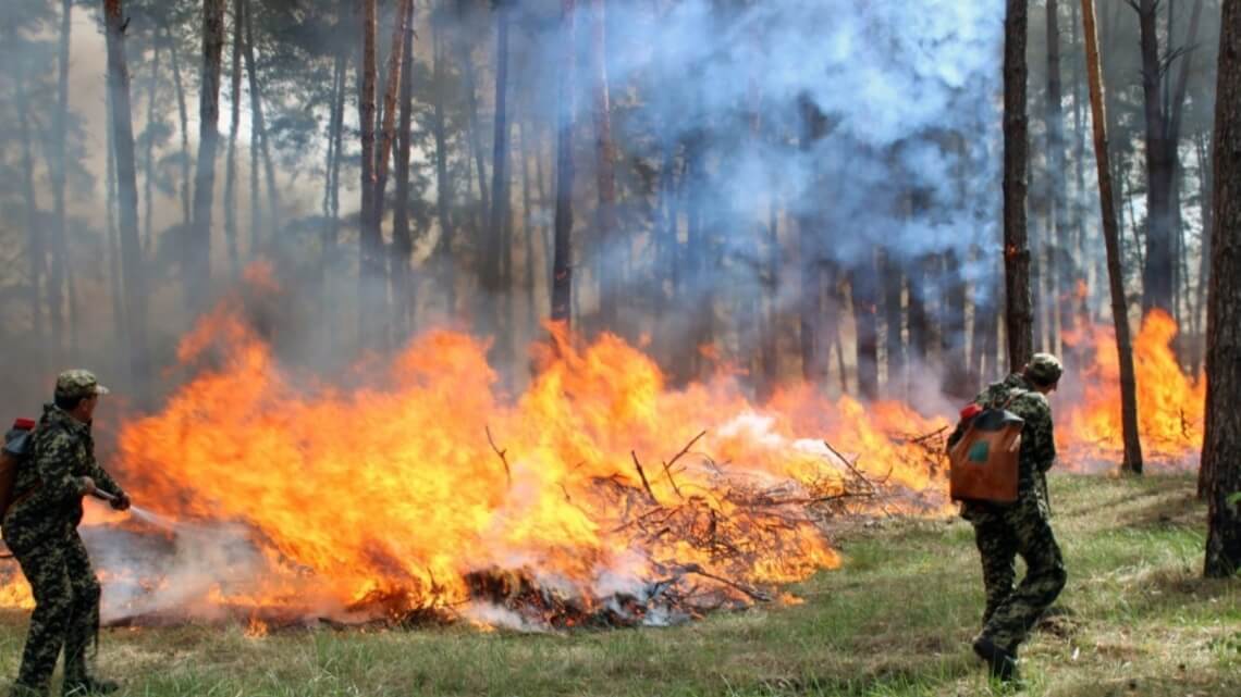 У Дніпровській області підвищений рівень пожежної небезпеки