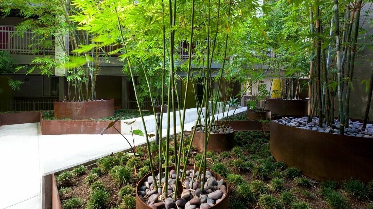 Применение бамбуковых опор: необходимый расходный материал в садоводстве