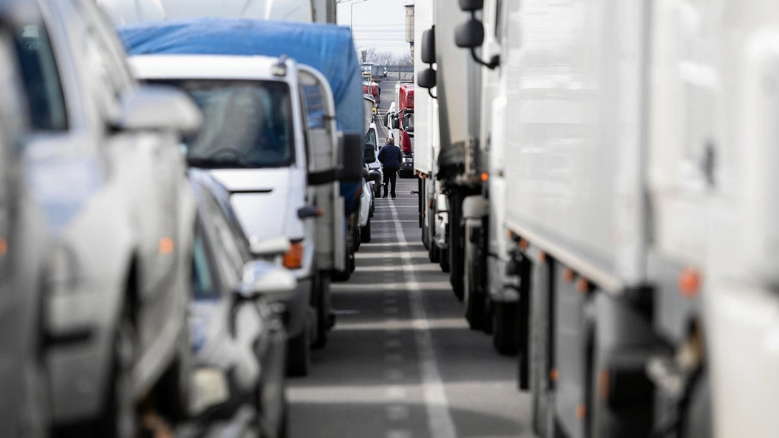 Ускладнений рух вантажівок та автобусів. Ситуація на українсько-польському кордоні 3 серпня 2023