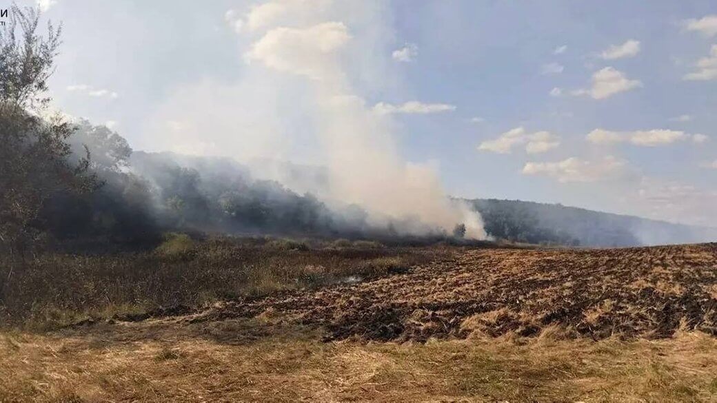У Дніпровській області пожежа в екосистемі