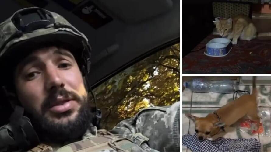 Військовий забрав котика і собаку у господарки, яка їх била
