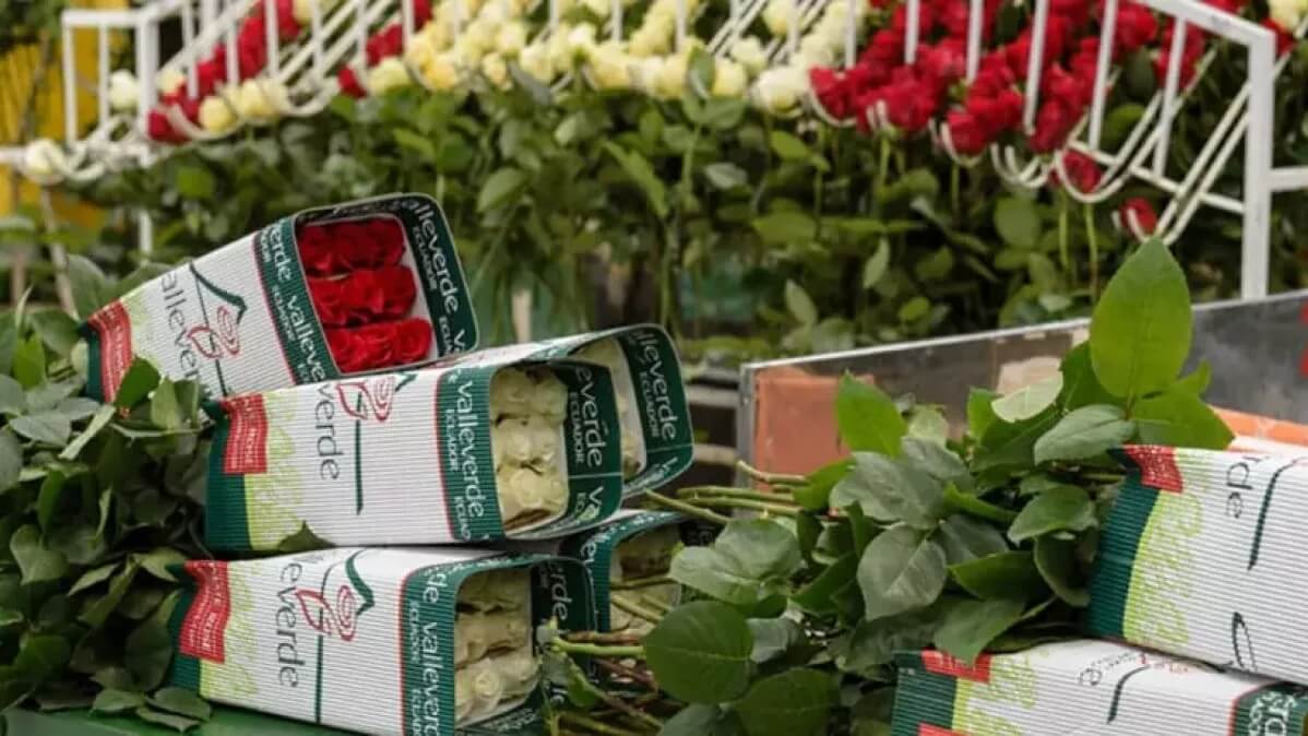 Оптова закупка живих квітів: як знайти найкращого постачальника та отримати вигідні ціни