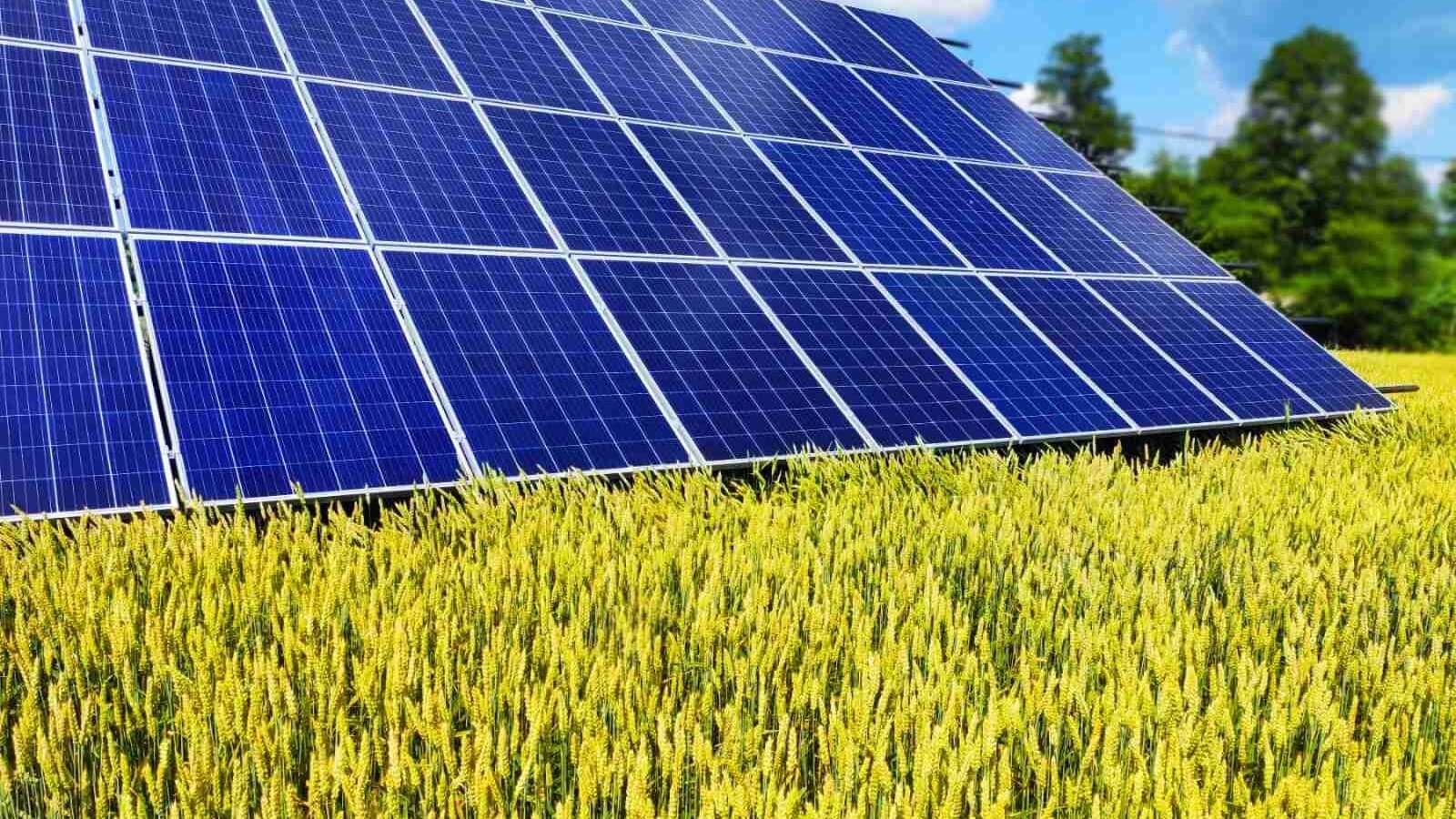 Солнечные батареи и экология: как мы можем спасти планету