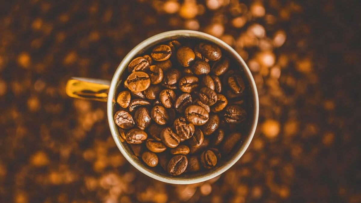 Історія кави та кавоваріння: як зерна підкорили світ?