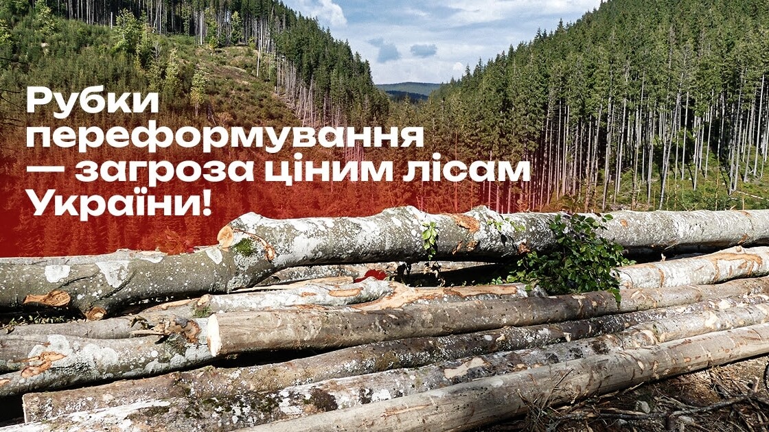 Минулого року ДП Ліси України отримали 62 000 кубометрів незаконної деревини лише в двох областях. У їхніх планах - узаконити корупційну схему