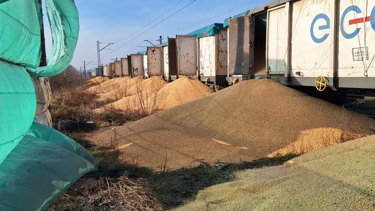 Знову вандалізм: у Польщі невідомі висипали вісім вагонів української кукурудзи