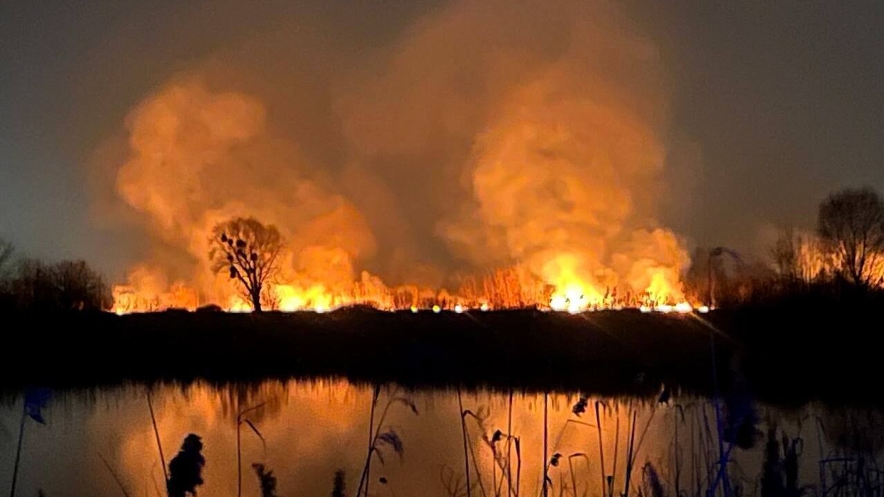Величезна пожежа в Києві: моторошні наслідки підпалу трави