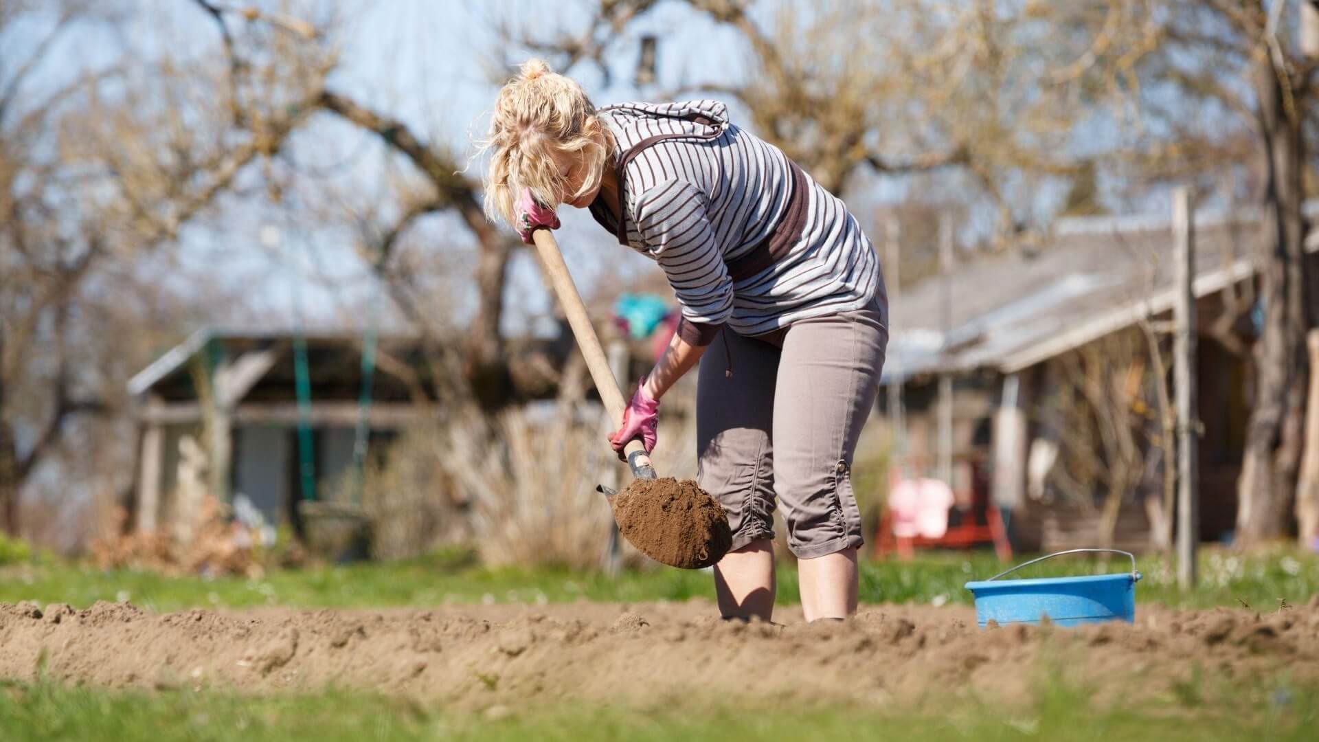 Як підготувати сад до весни: поради експерта