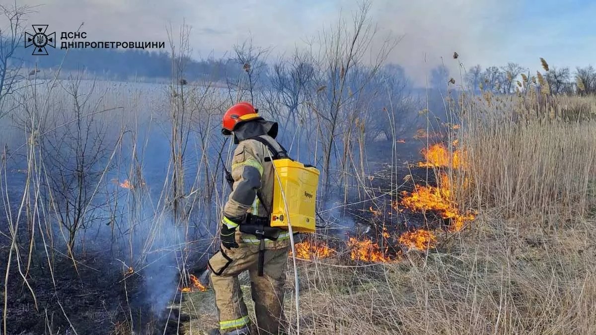 Знову зростає кількість пожеж в екосистемах Дніпровщини: застереження рятувальників