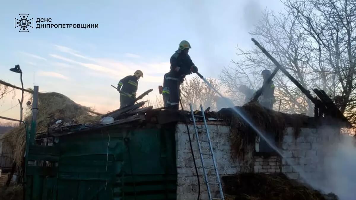 У Камянському районі внаслідок пожежі загинуло 50 курчат