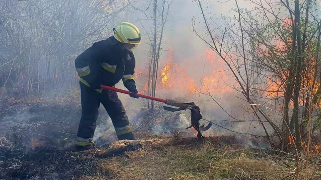 Надзвичайна пожежна небезпека: вогнеборці загасили 23 займання в екосистемах за добу