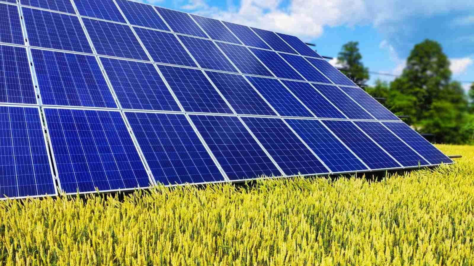 Нова кредитна програма: уряд допомагатиме українцям встановлювати сонячні панелі