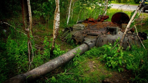 Довкілля та війна: фотовиставка про життя Чорнобильскої зони у реаліях вторгнення