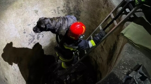 Нікопольські рятувальники оперативно визволили песика з бетонної пастки